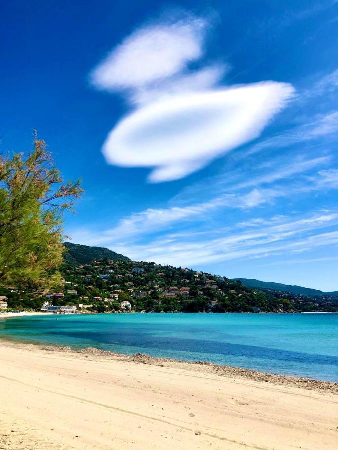 Residence Le St James Le Lavandou Bagian luar foto